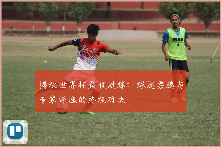 揭秘世界杯最佳进球：球迷票选与专家评选的终极对决